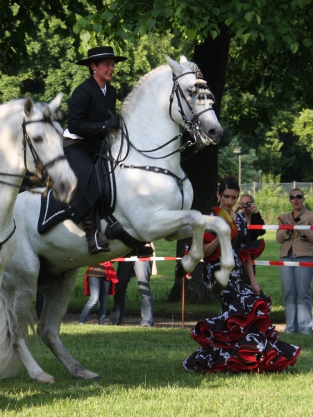 Feuerwerk Frankreich II   007.jpg